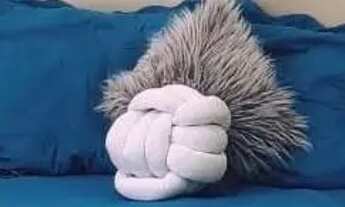 Imagem 5: Casa em Condomínio para Venda em Limeira, Jardim Residencial Campo Novo, 3 dormitórios, 1