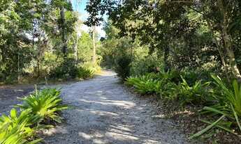 Imagem 4: Imóvel para venda com 1000 metros quadrados em Velha Boipeba - Cairu - BA