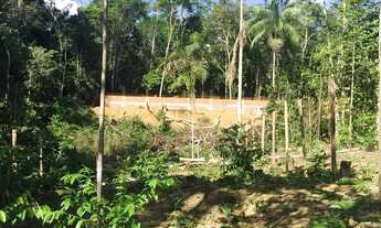 Imagem 2: Lote na estrada do Cetur