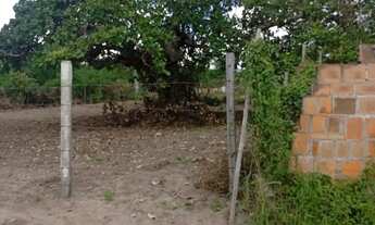 Imagem 3: Terreno para Venda localizado em São José Distrito de Maria Quiteria