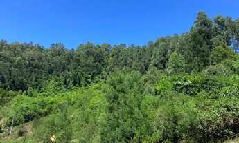 Imagem 4: Sitio - Bairro Linha Ávila