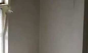 Imagem 3: Conjunto Comercial com 3 Salas 1 Vaga em Higienópolis