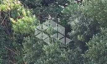 Imagem 6: Terreno com 517,04 m2 em área nobre na serra gaúcha por R$ 540.600,00