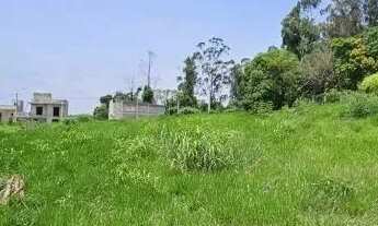 Imagem 2: TERRENO - PINHEIRINHO - SP