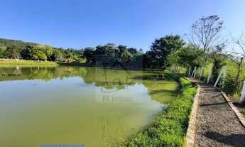 Imagem 3: Comercial para Venda em Londrina, Limoeiro