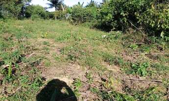 Imagem 7: Vendo excelente sítio em jaguaripe