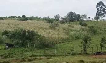 Imagem 6: Área 12 alqueires em Atibaia SP