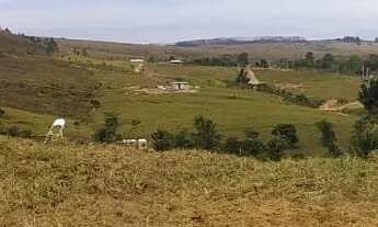 Imagem 4: Chácara 5 mil metros quadrados