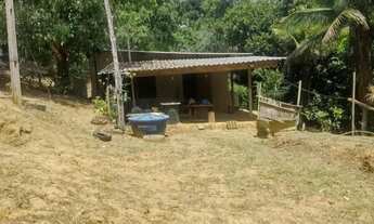 Imagem 7: Sítio para Venda em Guarapari, Comunidade Urbana de Amarelos, 2 dormitórios, 1 banheiro, 2