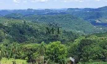 Imagem 2: Área de terra bairro Quatro Cantos, Picada Café.RS REF: 329