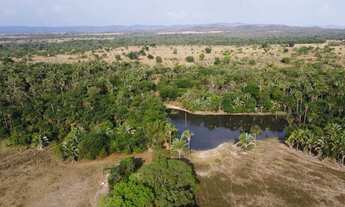 Imagem 4: Fazenda c/ 550he sendo 400he formados, vocação p/ lavoura, Santo Antonio do Leverger-MT