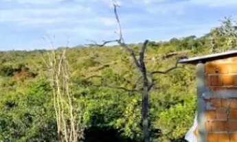 Imagem 3: Vendo Rancho-Barragem do Paranã