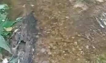 Imagem 3: Terreno com água