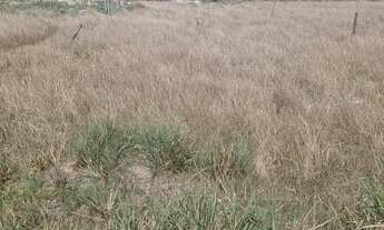 Imagem: Terreno em Nova Sepetiba