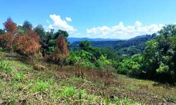 Imagem 2: Sítio / Chácara para Venda em Nova Petrópolis, Stille Eck