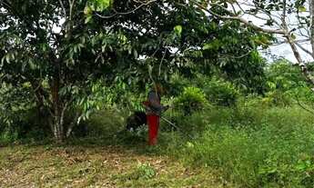 Imagem 7: Vendo Terreno 10x25