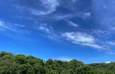 Imagem: Ibiúna SP Terreno Ideal Para Sua Chácara