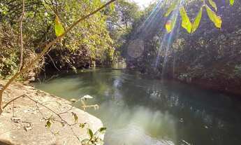 Imagem 5: Chácaras de 20mil mt com Rio passa quatro no fundo!
