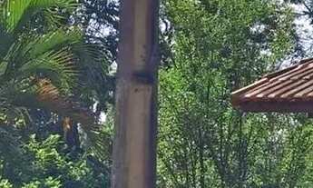 Imagem 3: Fazenda/Sítio/Chácara para venda com 160 metros quadrados com 2 quartos