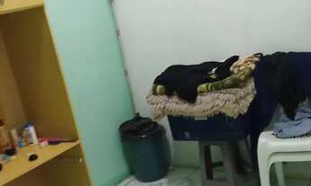 Imagem 6: Vendo casa em Conceição do Jacuípe