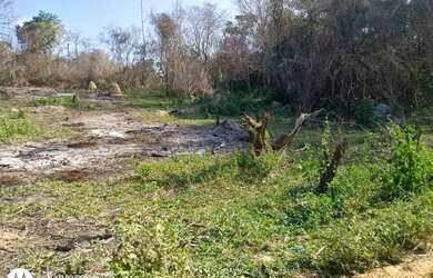 Imagem 3: Lote 600m² - Vilatur - 48 mil - RGi 100% OK - Rua 35 - 400m do colégio Walquiades