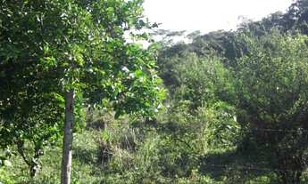 Imagem 2: Jaboticatrubas!!!terreno rural de 60 mil metros As Margens do Rio * ZAP Guilherme