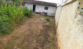 Imagem 2: Casa de fundo palmeiras dos índios Alagoas