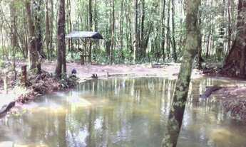 Imagem: LOTES C/ IGARAPE PROX.AO CUMARU /VIGIA