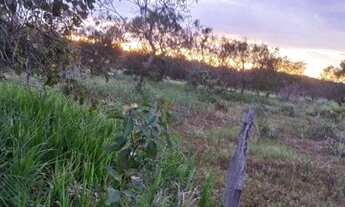 Imagem 3: Oportunidade para aquisição de Chácara