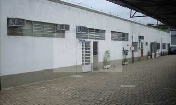 Imagem 5: GALPÃO LOCAÇÃO OU VENDA LAPA