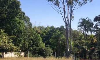 Imagem 5: TERRENO DE CHÁCARA EM ARAGOIÂNIA! - 3.875 m2