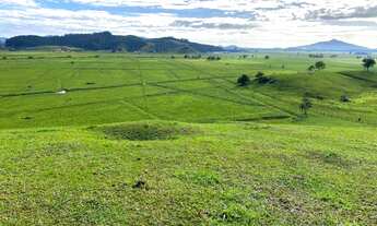 Imagem 3: Linda fazenda Fazenda / sítio com venda por R$6.200.000