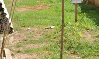 Imagem 2: Terrenos 5x25 excelente localização