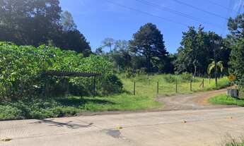 Imagem 2: CRICIÚMA - Terreno Padrão - SÃO SIMÃO