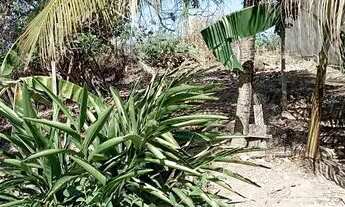 Imagem 3: Vende- se casa Acorizal 5 peças com piso