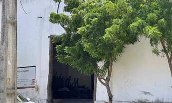 Imagem 7: Área Galpão para Locação em Caucaia, Pacheco