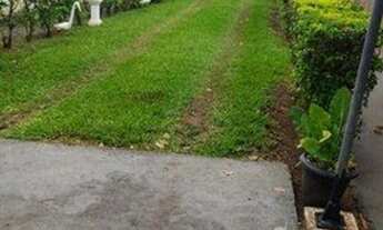 Imagem 5: Casa com 3 dormitórios à venda, 350 m² por R$ 800.000,00 - Vila Prado - Santo Anastácio/SP