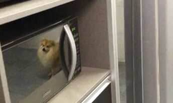 Imagem 7: CASA TÉRREA NO JARDIM PRIMAVERA EM ITUPEVA/SP