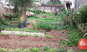 Imagem 6: São Paulo - Terreno Padrão - Cachoeirinha