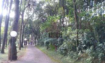 Imagem 3: Casa com 3 dormitórios, 190 m² - venda por R$ 1.795.000,00 ou aluguel por R$ 8.501,00/mês