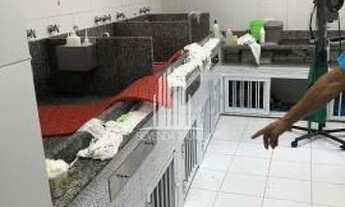 Imagem 4: Casa terra Casa com 3 dormitórios