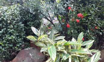 Imagem 6: Casa com 3 dormitórios para alugar, 203 m² por R$ 6.279,99/mês - Chácara Santa Margarida