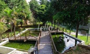 Imagem 5: São Caetano do Sul - Apartamento Padrão - São José