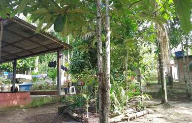 Imagem 5: Sítio pra venda ou troca