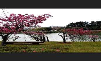 Imagem: Casa à venda, 475 m² por R$ 2.400.000,00