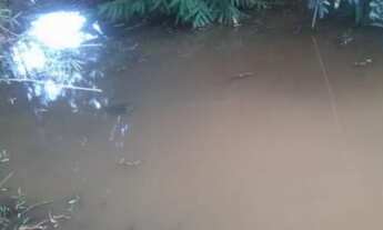 Imagem: Chácara em Inhaúma