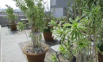 Imagem 2: APARTAMENTO LOCAÇÃO CAMBUCI