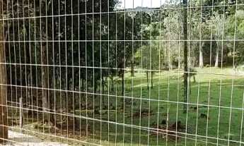 Imagem 6: Área de terra bairro Linha Imperial, Nova Petrópolis.RS Ref.:131