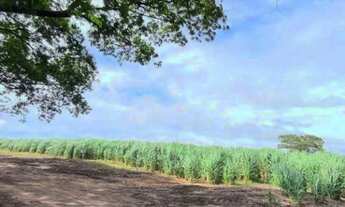 Imagem 6: Área à venda, 350900 m² por R$ 15.500.000,00 - Rodovia - Cedral/SP