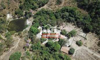 Imagem 5: Fazenda 45 alqueires (217,8 hectares) Araguapaz - Go
